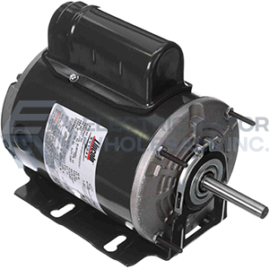 RESILIENT BASE 48Z copy.jpg